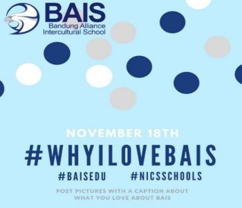 why-i-love-bais-nics-november